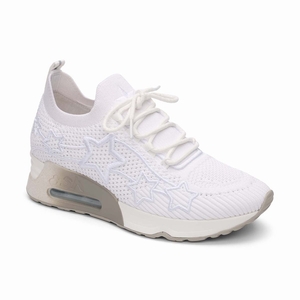 Ash basket blanche online
