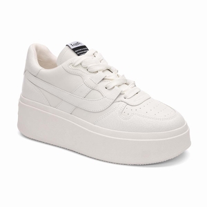 Ash basket blanche deals